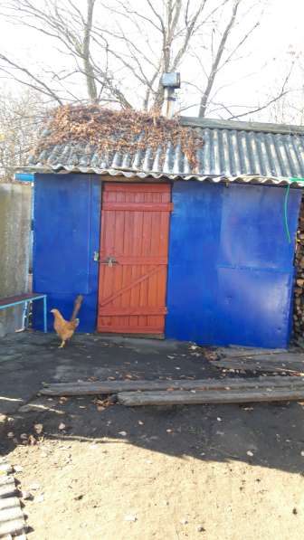 Продам домик в деревне деревянный сруб обшит железом в Бутурлиновке фото 3