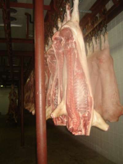 продаю свинину, говядину полутушами в Воронеже фото 10