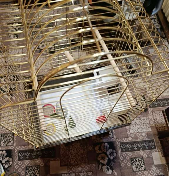Клетка для средних попугаев в Москве фото 3