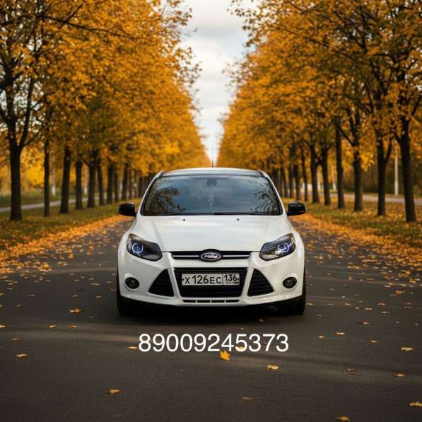 Ford, Focus, продажа в Воронеже
