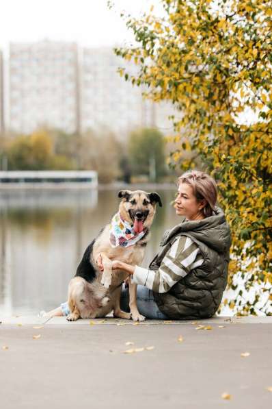 Дэнди ждёт своего человека. Москва, МО в Москве фото 3