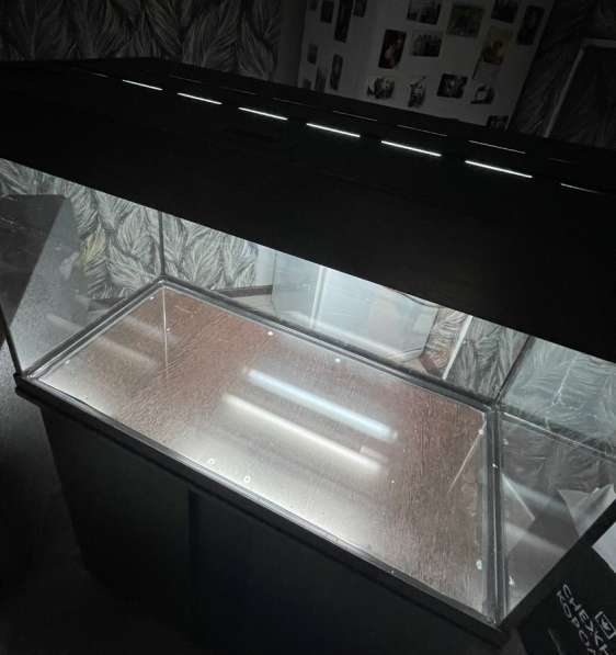 Аквариум в Южно-Сахалинске фото 7