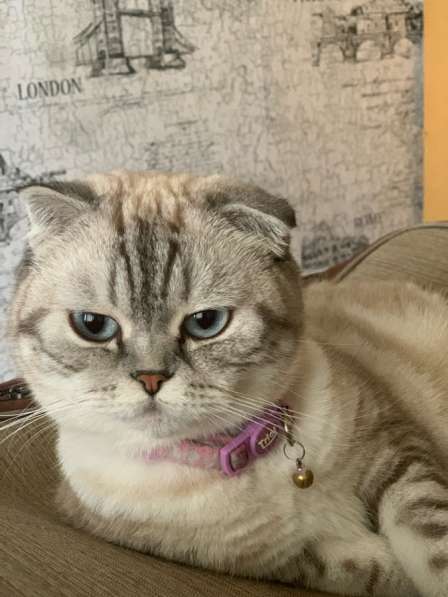 Прохорова,29 в Йошкар-Оле фото 3