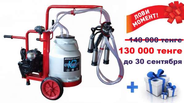 Доильный аппарат в 