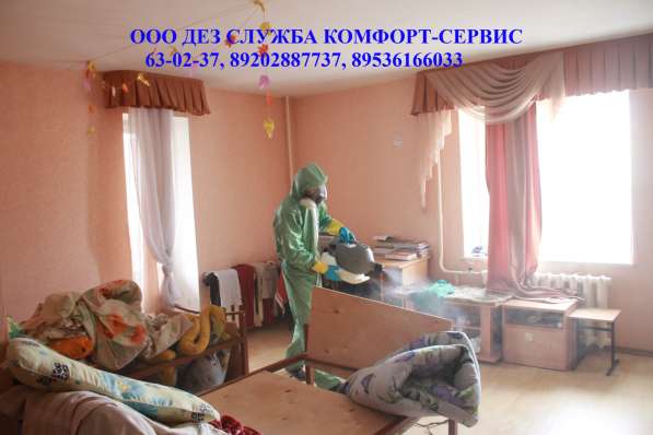 Уничтожение клопов в Орле в Орле фото 3