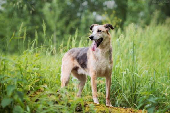 Молодой энергичный Майор ищет семью в Москве фото 34