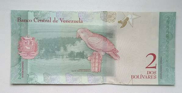 Банкноты Венесуэлы в Нижнем Новгороде