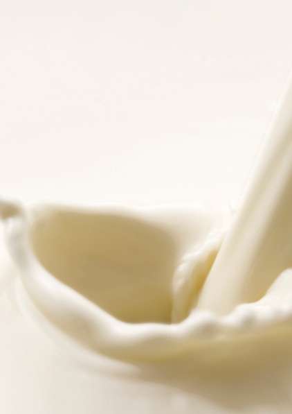 Заменитель цельного молока «ECO Village» MILK 1%, 10%, 12%