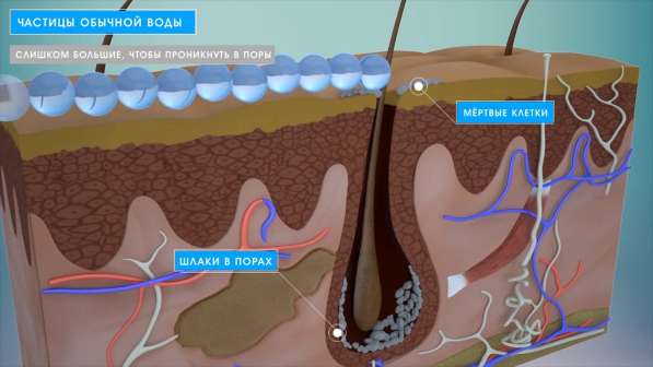 Рекламный ролик в Санкт-Петербурге фото 6