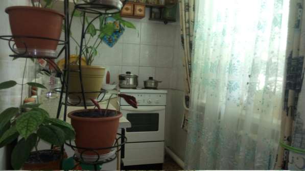 Продам 1-комнатную квартиру в Каменске-Уральском фото 5