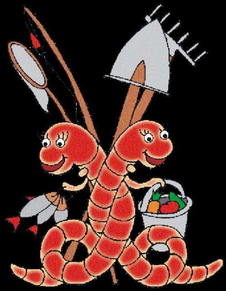 Червь старатель для биогумуса в Волгограде