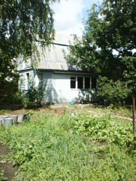Продам участок с домиком в НТС Строитель-4, Добровский р-н в Липецке фото 14