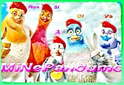 Попугаи разных видов продам. Клетки. Москва