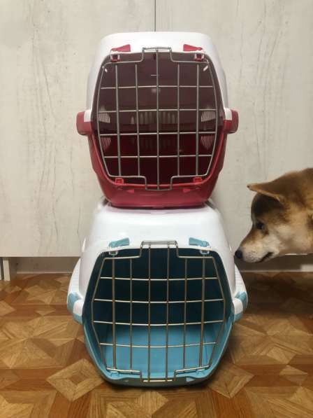 Переноска для кошек