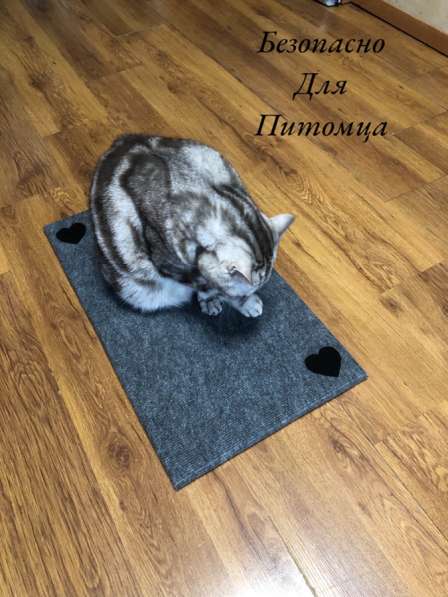 Когтеточка Напольная-Лежанка ST "Home Meow в Екатеринбурге фото 4