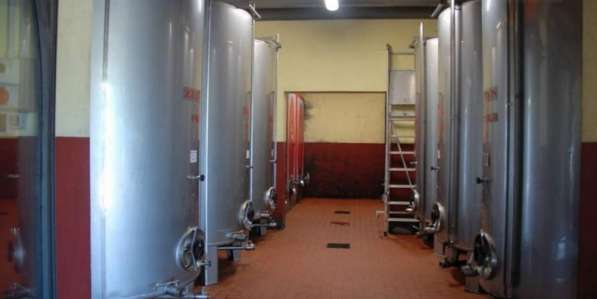 Ферма с производством вина и оливкового масла в Тоскане в 