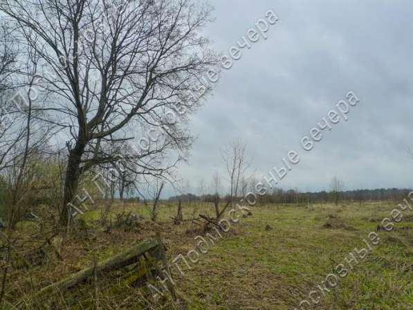 realty_mapper3.plot_in_locationПлощадь 31.00 сот.Есть Электричество, Газ. в Москве