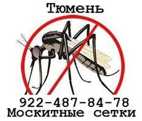 Москитные сетки в Тюмени в Тюмени фото 3