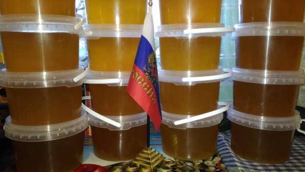 Западно Сибирский Русский Мёд пчелиный в Кургане от 0,5л в Кургане фото 8