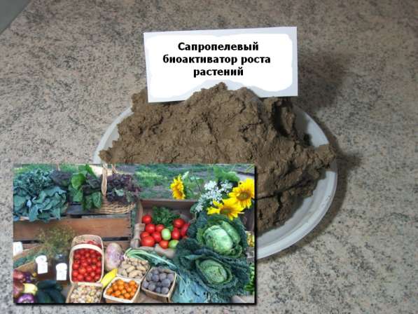 Натуральный сапропелевый биоактиватор-стимулятор роста расте в Москве фото 6