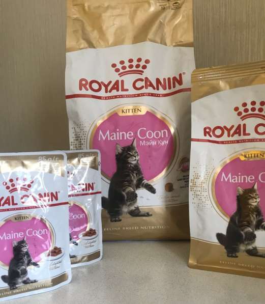 Корм Royal Canin для котят мейн-кун