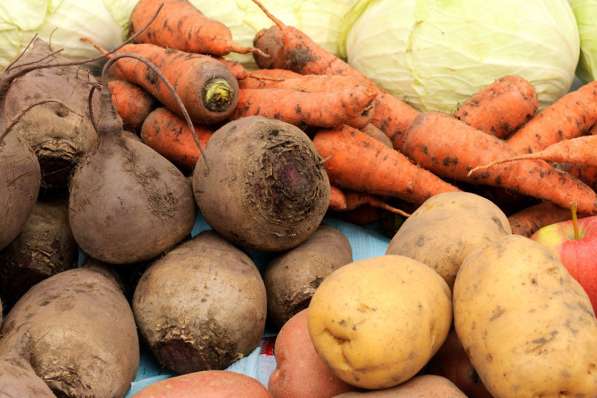 Компания ООО "РостАгроЭкспорт" закупает овощи (Борщевой набо в Краснодаре