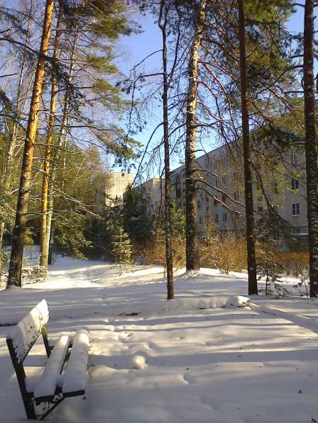 Уютная квартира в сосновом лесу в Конаково фото 10