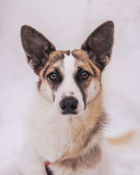 Тунис в поисках любящей семьи в Москве фото 23