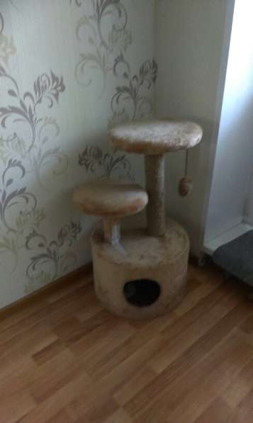 Продам домик для кошки с когтеточкой за 1300 руб