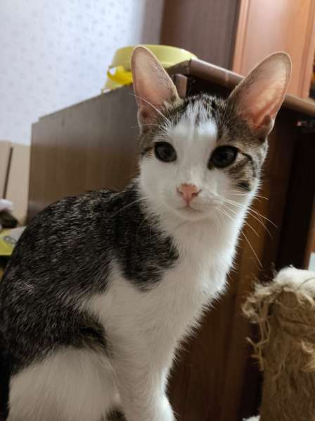 Малыш Митя ищёт семью в Москве