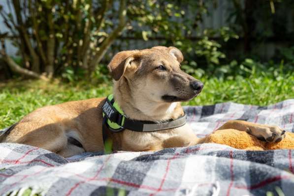 Сироте Марселю нужен дом в Москве фото 3