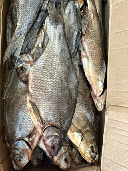Вяленая рыба вобла, красноперка, щука, судак и др в Москве фото 4