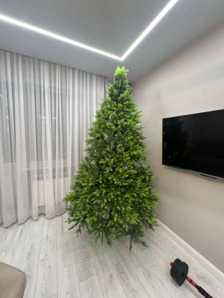 Елка в Улан-Удэ