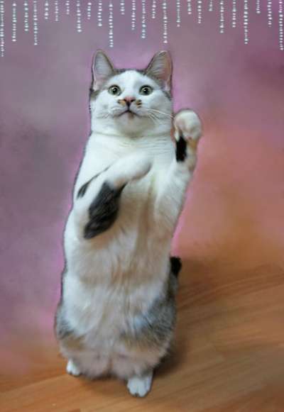 домашний клоун Яха в Санкт-Петербурге фото 6