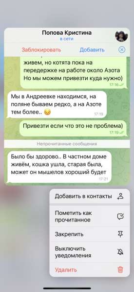 Отдам котят в добрые руки в Кемерове фото 6