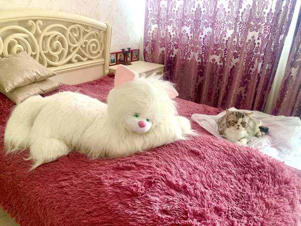 Отличный подарок