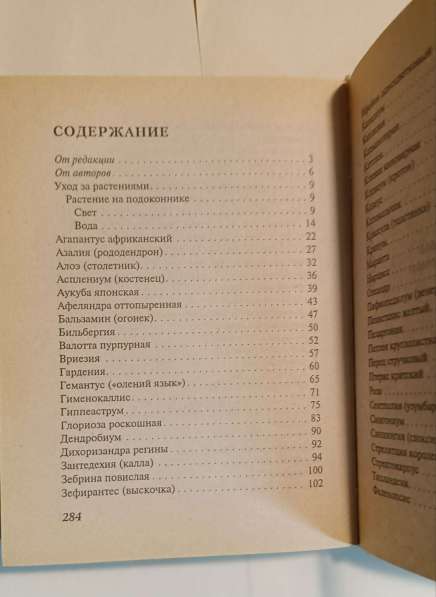 Всё о домашних цветах в Москве фото 3