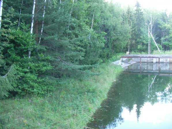 Продаётся база отдыха в Домодедове фото 30