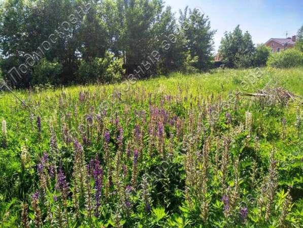 realty_mapper3.plot_in_locationИндивидуальное жилищное ст-во. Есть Электричество, Газ. в Москве фото 41