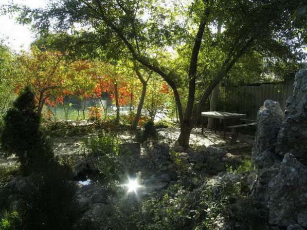 Сдам в оренду в Видном фото 6