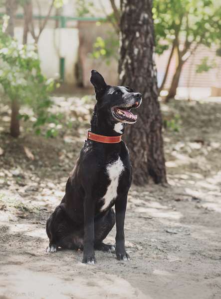 Улыбчивый лучик Фаина ищет семью в Москве фото 38