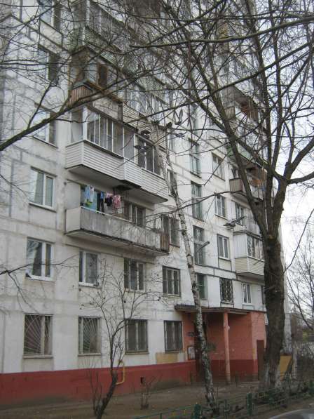 1 комнатная квартира в Кучино в Москве фото 12