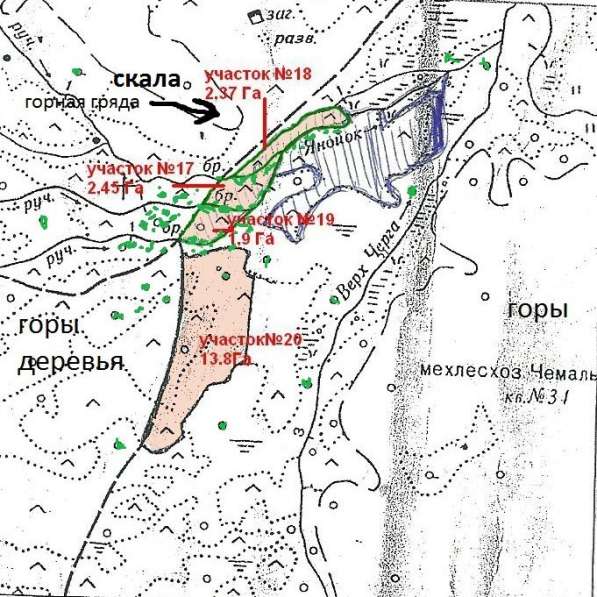 Участок 245 соток на ручье в Горно-Алтайске