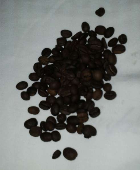 Кофе в зернах Casher Гондурас Марагоджип