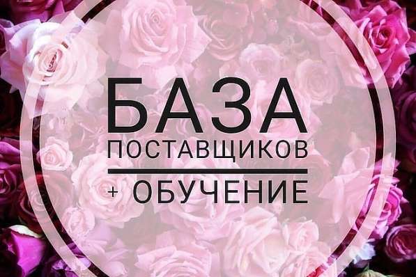 База поставщиков