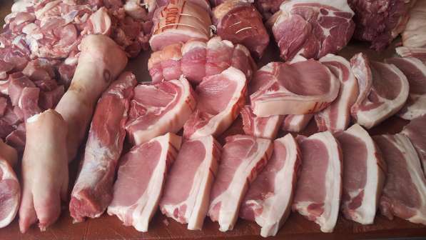 Продажа домашней свинины в Бахчисарае фото 3