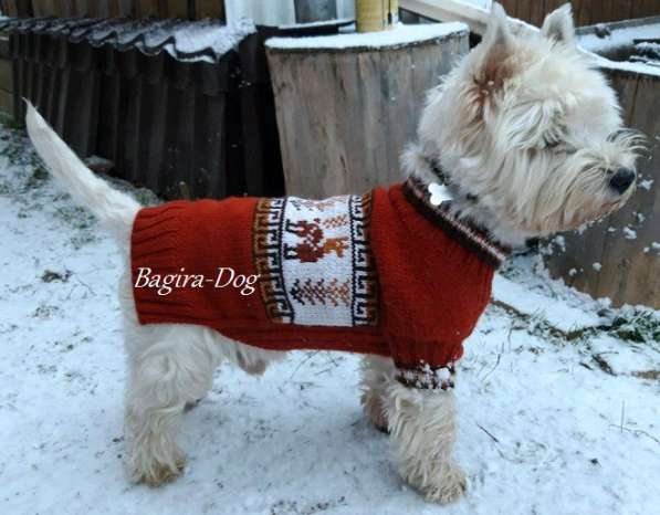 Свитера для собак ручной работы в Москве фото 34