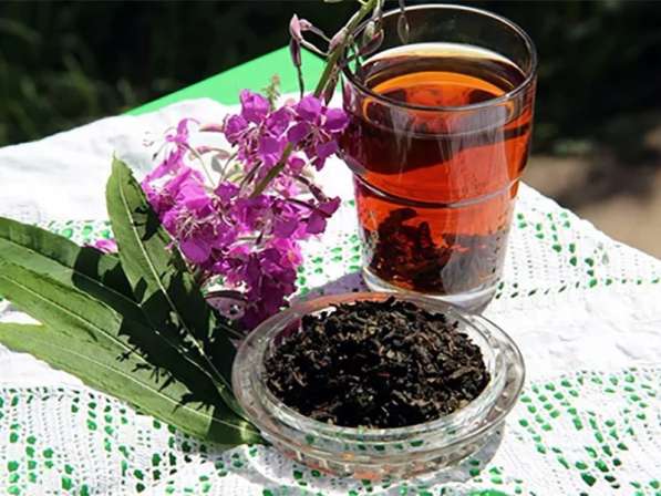 Продам Иван-чай в Волгограде