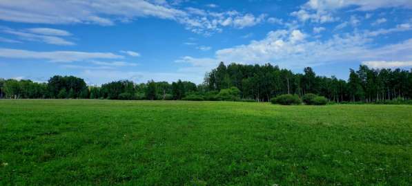 Продается земельный участок сельхозназначения в Богдановиче фото 3