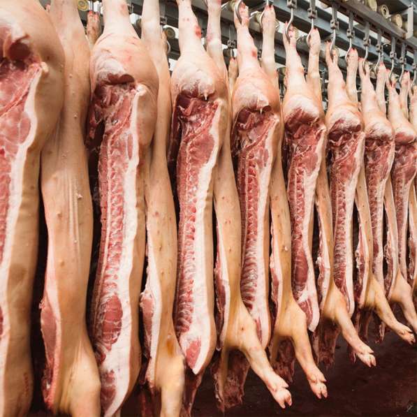 Говядина, свинина, мясо ЦБ, отгрузка в регионы в Протвино фото 3